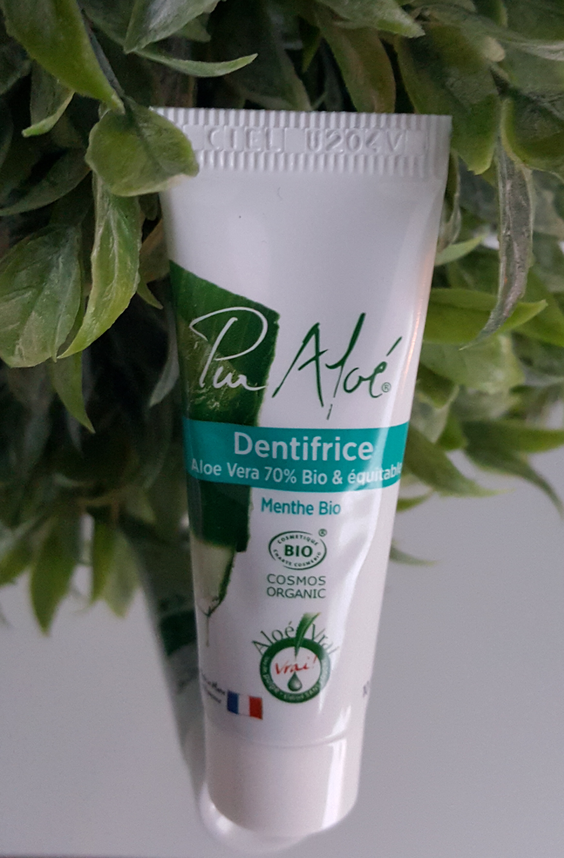 Dentifrice